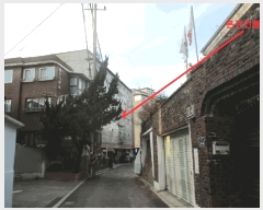  2025Ÿ��52249  �ټ���(����)���