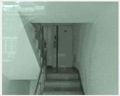 2025Ÿ��52435 ���� ���� �ұ��� 102-3 ���ȨŸ�� 1��101ȣ     �ټ���,������