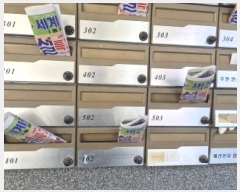  2025Ÿ118  빮 Ϸ36 24, 1101ȣ (ȫ,Ʈ)     ,繫ǰ