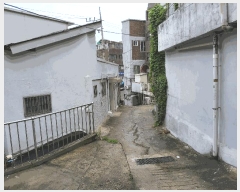  2025Ÿ��1432  �������