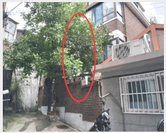  2025Ÿ��1432  �������