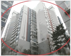  2025Ÿ51177  빮 ȫ 454 ϳƮ 103 8802ȣ    Ʈ