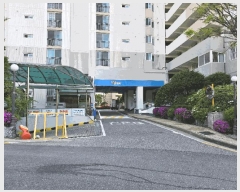  2025Ÿ��51315 ���� ��걸 �������� 293 ���������׸���ũ����Ʈ 101�� 16��1608ȣ    ����Ʈ���