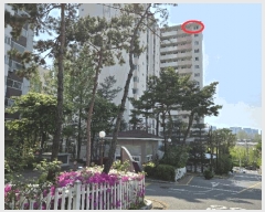  2025Ÿ��51315 ���� ��걸 �������� 293 ���������׸���ũ����Ʈ 101�� 16��1608ȣ    ����Ʈ���