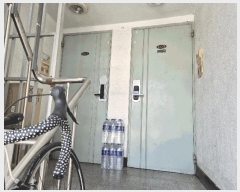  2025Ÿ��51378  �ټ���(����)���