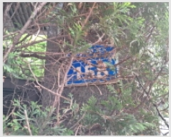  2025Ÿ51387   ߵ 101 Ѱ㼶 104 101003ȣ    Ʈ