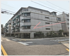  2025Ÿ��51461  �ټ���(����)���