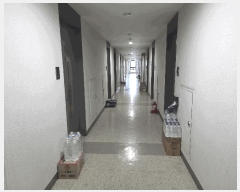  2025Ÿ��51553 ���� ������ ��ϵ� 1734 �����ȭ��������ũ 5����530ȣ     ���ǽ��ڰ��