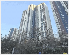  2025Ÿ��51054  ����Ʈ���