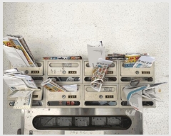  2025Ÿ��51493  �ټ���(����)���