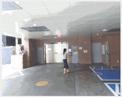  2025Ÿ��51645  ���ǽ��ڰ��