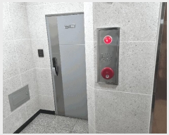  2025Ÿ��52208  �ټ���(����)���