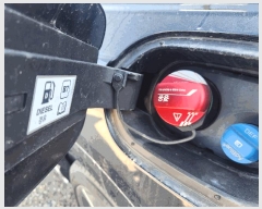  2025Ÿ��52383  �������