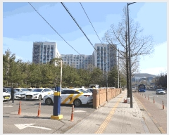  2025Ÿ��378  ���ǽ��ڰ��