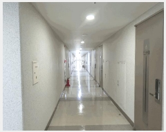  2025Ÿ��378  ���ǽ��ڰ��