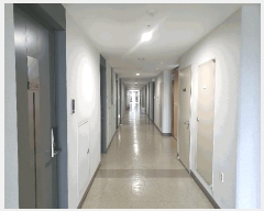  2025Ÿ��378  ���ǽ��ڰ��