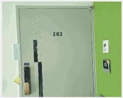  2025Ÿ��51381  ���ǽ��ڰ��