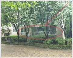  2025Ÿ��51676  ����Ʈ���