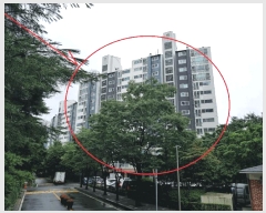  2025Ÿ��51676  ����Ʈ���