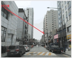  2025Ÿ699   ϵ 590-23 ƸƮ 4403ȣ     ǽڰ