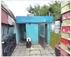  2025Ÿ��1005  ���ð��