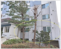  2025Ÿ50243   Ϸ 590, 3 1101ȣ (,븲Ʈ)    Ʈ