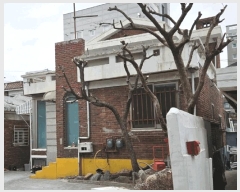  2025Ÿ51037   ̵ 2-36       ð