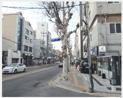  2025Ÿ51161   ̵ 49-17 ʿ׸ 5501ȣ     ټ,