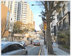  2025Ÿ��51285  ���ǽ��ڰ��