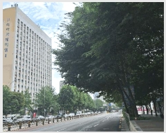  2025Ÿ��51535 ���� ������ ������ 437-3 ������ī������  6��22ȣ    ���ǽ��ڰ��