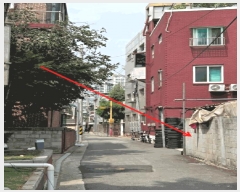  2025Ÿ��51647  �����