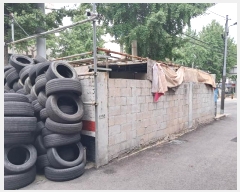  2025Ÿ��51647  �����