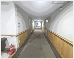  2025Ÿ��51775  �����ڽü����