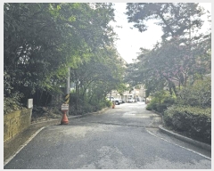  2025Ÿ��51775  �����ڽü����