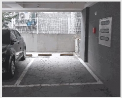  2025Ÿ��50980  �ټ���(����)���