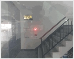  2025Ÿ��50980  �ټ���(����)���