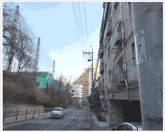  2025Ÿ��50991  �ټ���(����)���