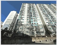  2025Ÿ50994  빮 ȫ 460 οջƮ 106 7709ȣ    Ʈ