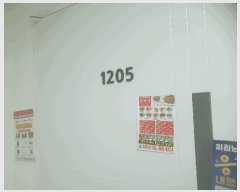  2025Ÿ��51046  ���ǽ��ڰ��