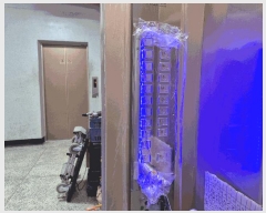  2025Ÿ��51170  ����Ʈ���