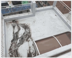  2025Ÿ��51176 ���� ���� ���굿 374 �߱����̺� �� 5��501ȣ    �ټ���,������