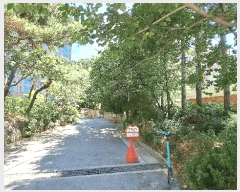  2025Ÿ��51648  �����ڽü����