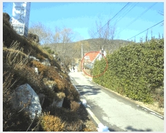  2025Ÿ��723 ��õ ��ȭ�� ������ ���ฮ 97-9      ���ð��