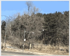  2025Ÿ501464 õ ߱ ϵ 385-3       (Ӿ)