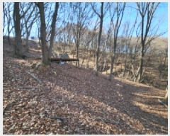  2025Ÿ501464 õ ߱ ϵ 385-3       (Ӿ)