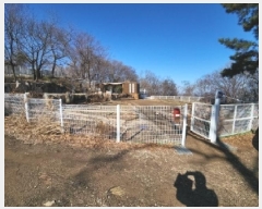  2025Ÿ501464 õ ߱ ϵ 385-3       (Ӿ)