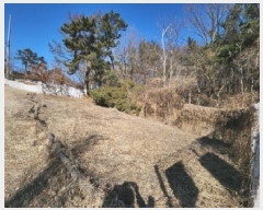  2025Ÿ501464 õ ߱ ϵ 385-3       (Ӿ)