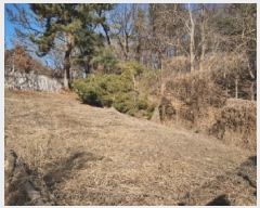  2025Ÿ501464 õ ߱ ϵ 385-3       (Ӿ)