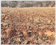  2025Ÿ��503439  �����