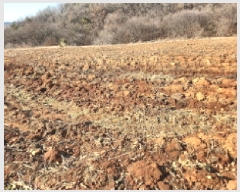  2025Ÿ��503439  �����